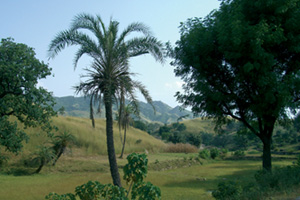 Udaipur Kumbhalgarh